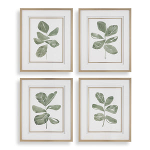 Fiddle Head Leaf Framed Prints, S/4 - timeless artwork that brings character to any space | Image 2 | InSTYLE Home & Rugs
