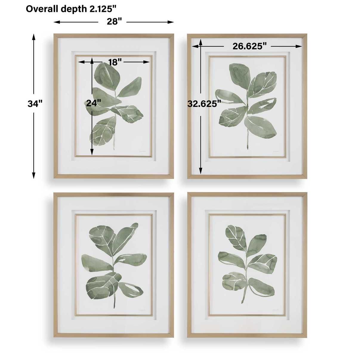 Fiddle Head Leaf Framed Prints, S/4 - timeless artwork that brings character to any space | Image 7 | InSTYLE Home & Rugs