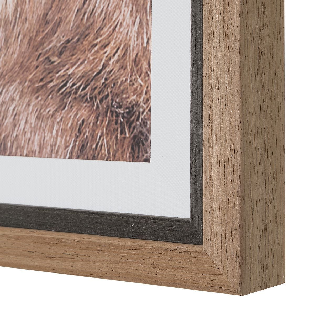 Big Horn Framed Print - eye-catching art pieces to enhance your home design | Image 6 | InSTYLE Home & Rugs