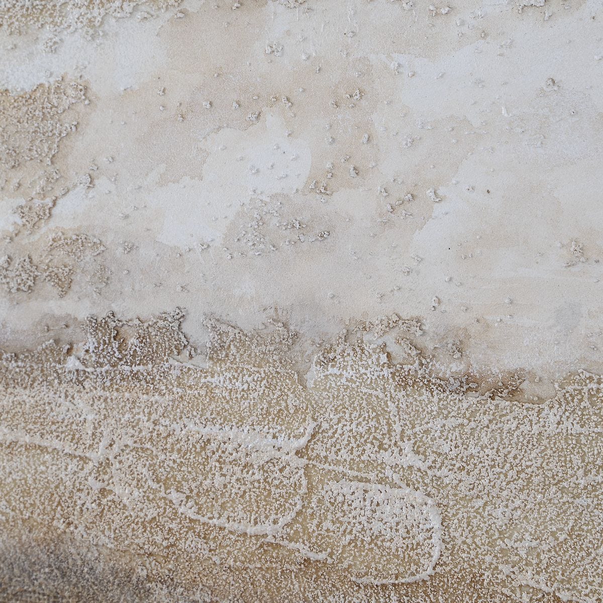 Between Lines Hand Painted Canvases, S/2 - timeless artwork that brings character to any space | Image 5 | InSTYLE Home & Rugs