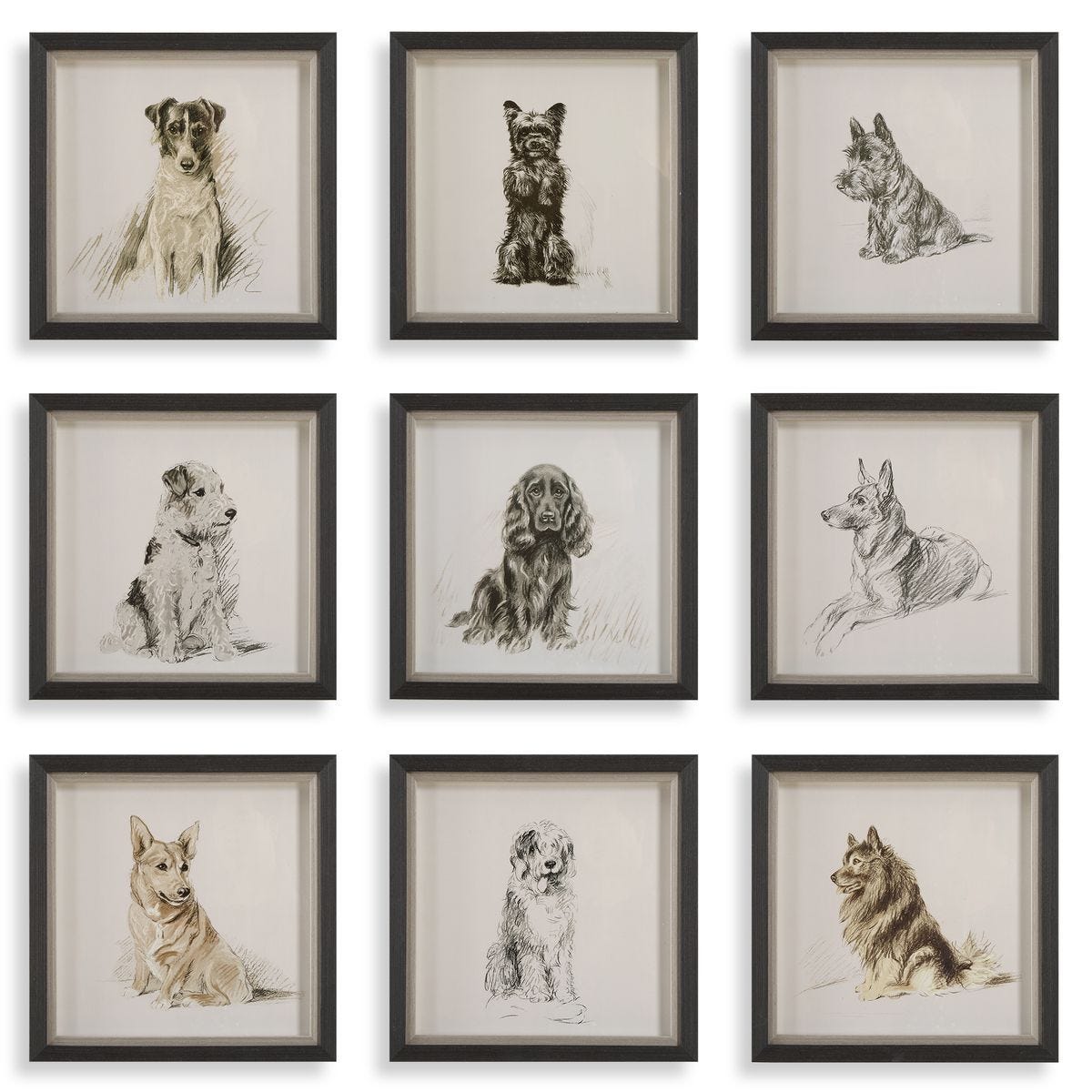 Loyal Companion Framed Prints, S/9 - timeless artwork that brings character to any space | Image 1 | InSTYLE Home & Rugs