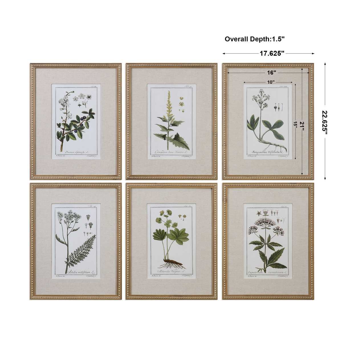 Green Floral Botanical Study Framed Prints, S/6 - bold and creative art for unique interior décor | Image 3 | InSTYLE Home & Rugs