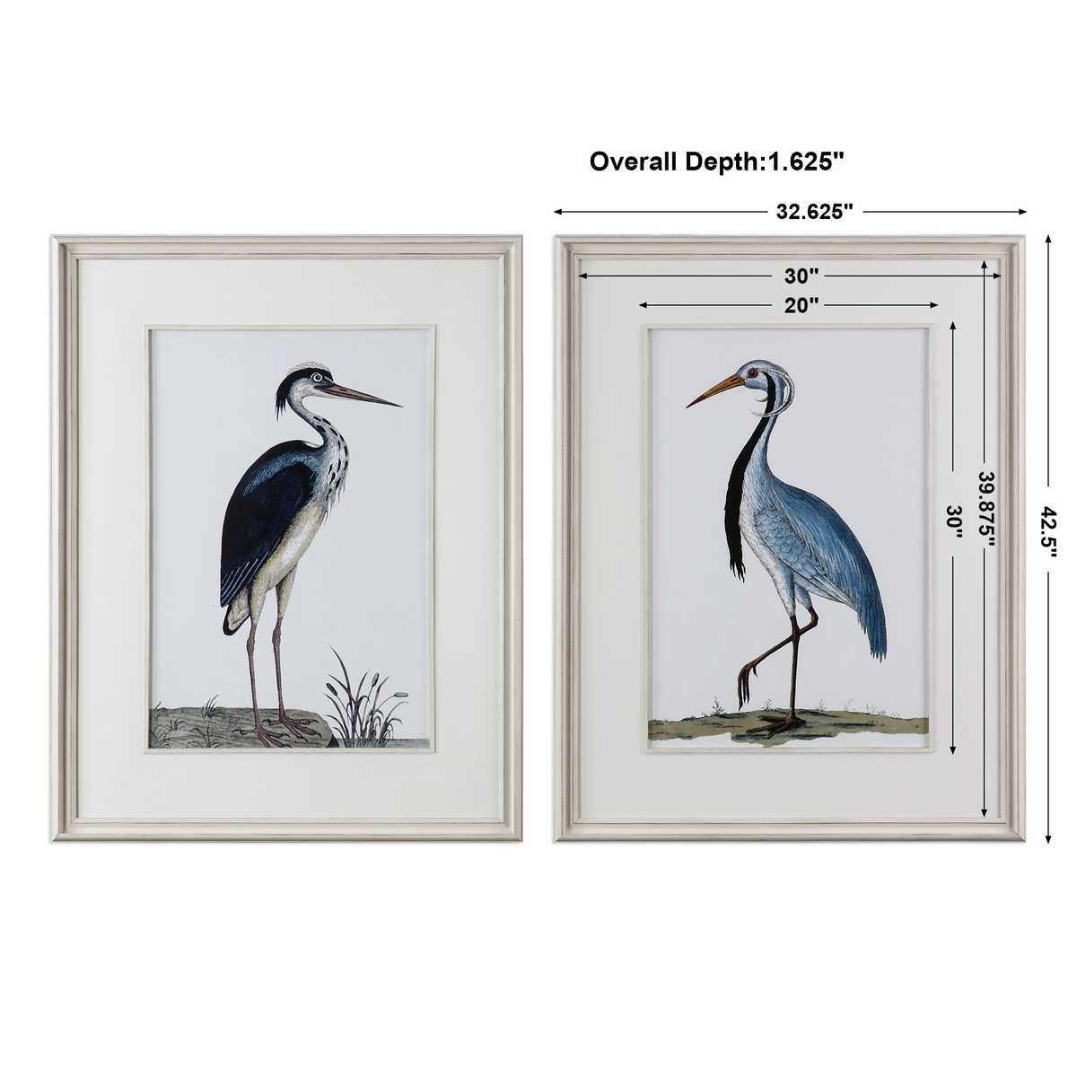 Shore Birds Framed Prints, S/2 - bold and creative art for unique interior décor | Image 3 | InSTYLE Home & Rugs