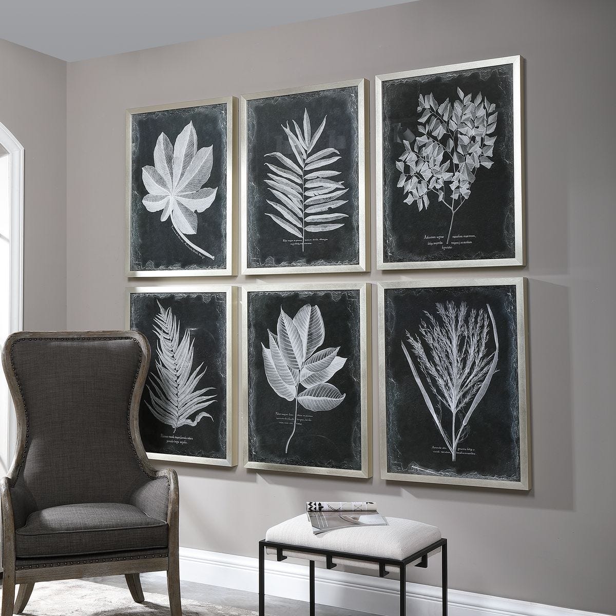 Foliage Framed Prints, S/6 - bold and creative art for unique interior décor | Image 6 | InSTYLE Home & Rugs