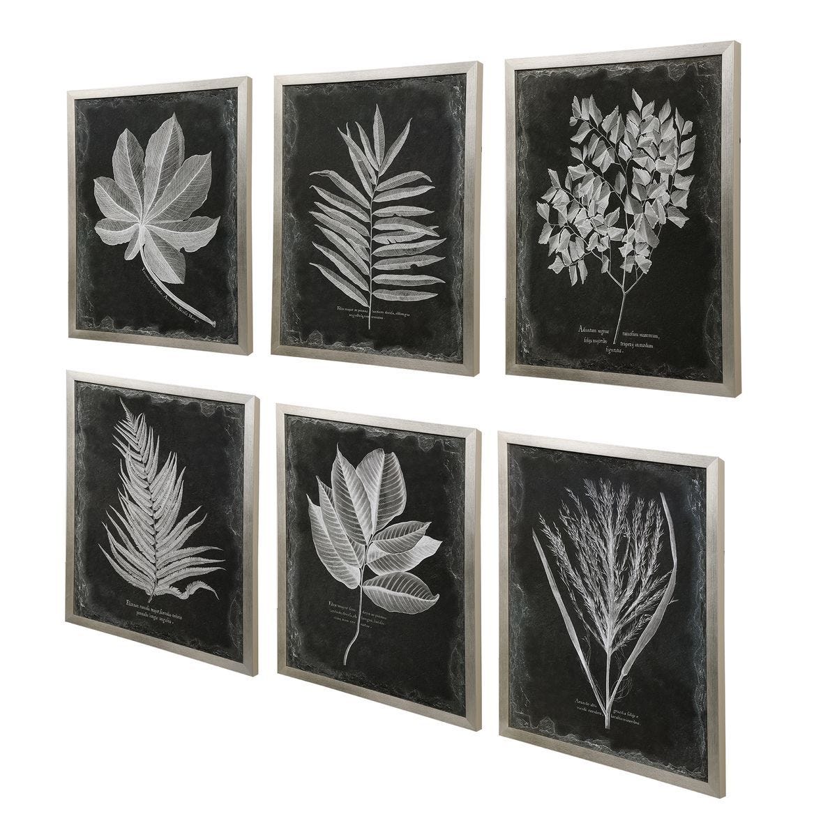 Foliage Framed Prints, S/6 - bold and creative art for unique interior décor | Image 3 | InSTYLE Home & Rugs