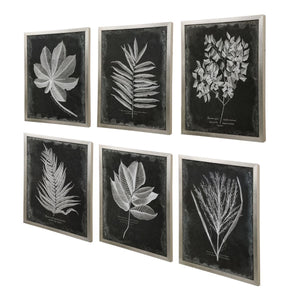 Foliage Framed Prints, S/6 - bold and creative art for unique interior décor | Image 3 | InSTYLE Home & Rugs