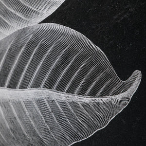 Foliage Framed Prints, S/6 - bold and creative art for unique interior décor | Image 4 | InSTYLE Home & Rugs