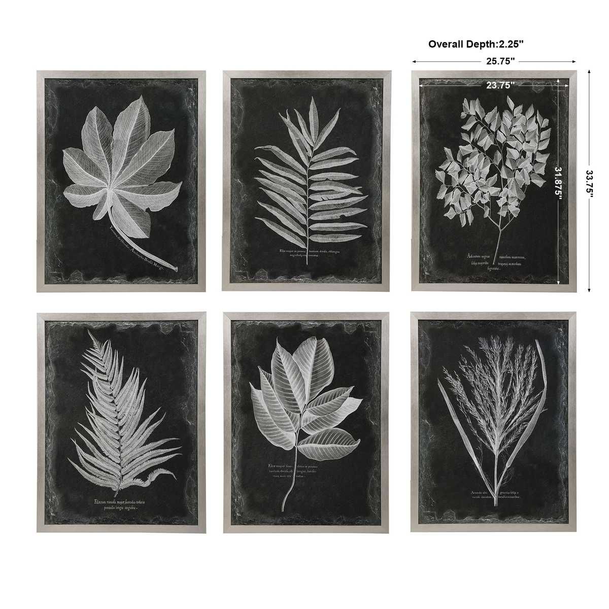 Foliage Framed Prints, S/6 - bold and creative art for unique interior décor | Image 7 | InSTYLE Home & Rugs
