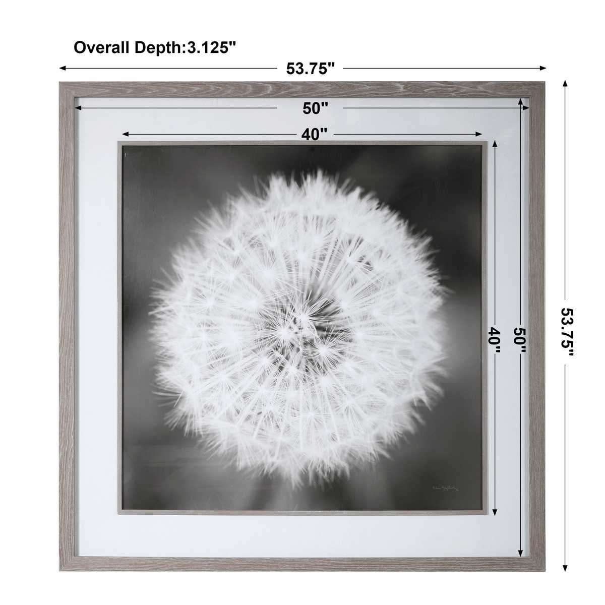 Dandelion Seedhead Framed Print - bold and creative art for unique interior décor | Image 9 | InSTYLE Home & Rugs