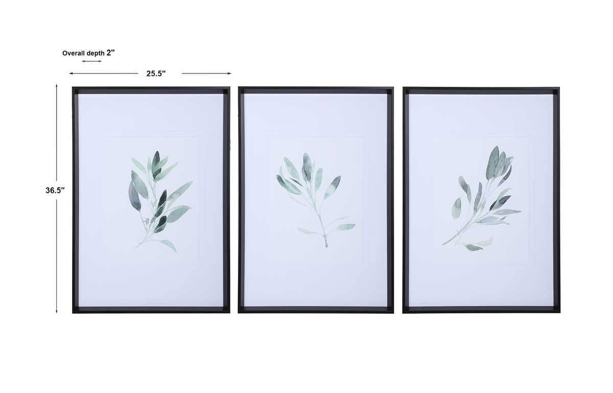 Simple Sage Framed Prints, S/3 - bold and creative art for unique interior décor | Image 7 | InSTYLE Home & Rugs