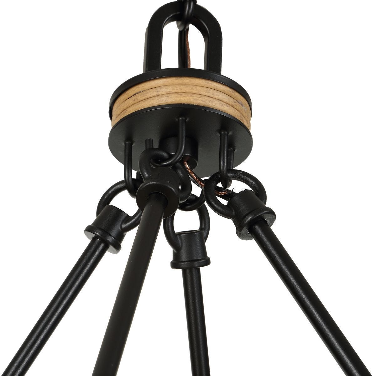 Palm Royal, 8 Lt Indoor-Outdoor Chandelier - energy-efficient and stylish designs | Image 6 | InSTYLE Home & Rugs