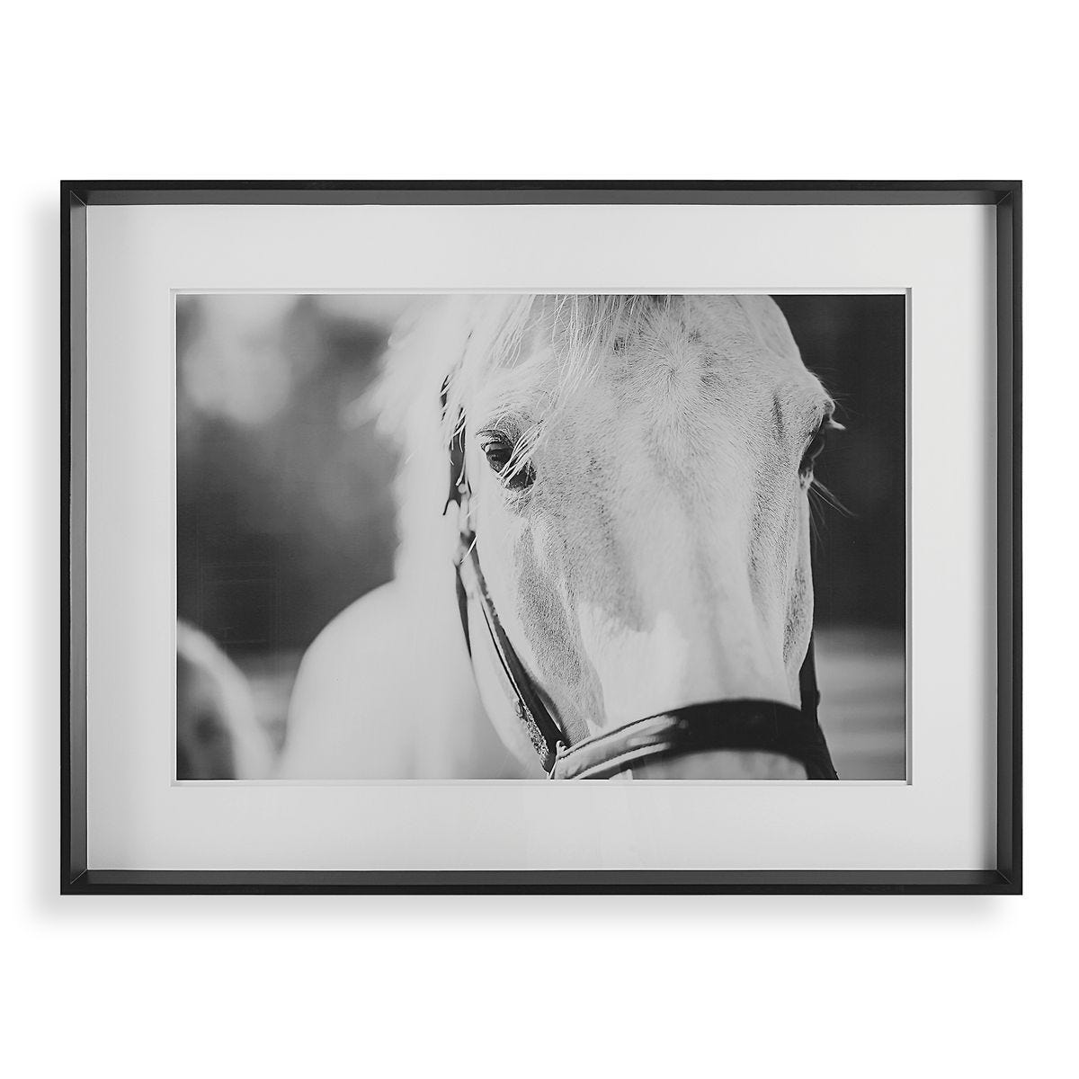 Eyes On The Prize Framed Print - eye-catching art pieces to enhance your home design | Image 1 | InSTYLE Home & Rugs
