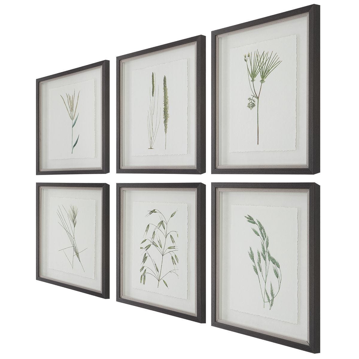 Forest Finds Framed Prints, S/6 - bold and creative art for unique interior décor | Image 5 | InSTYLE Home & Rugs
