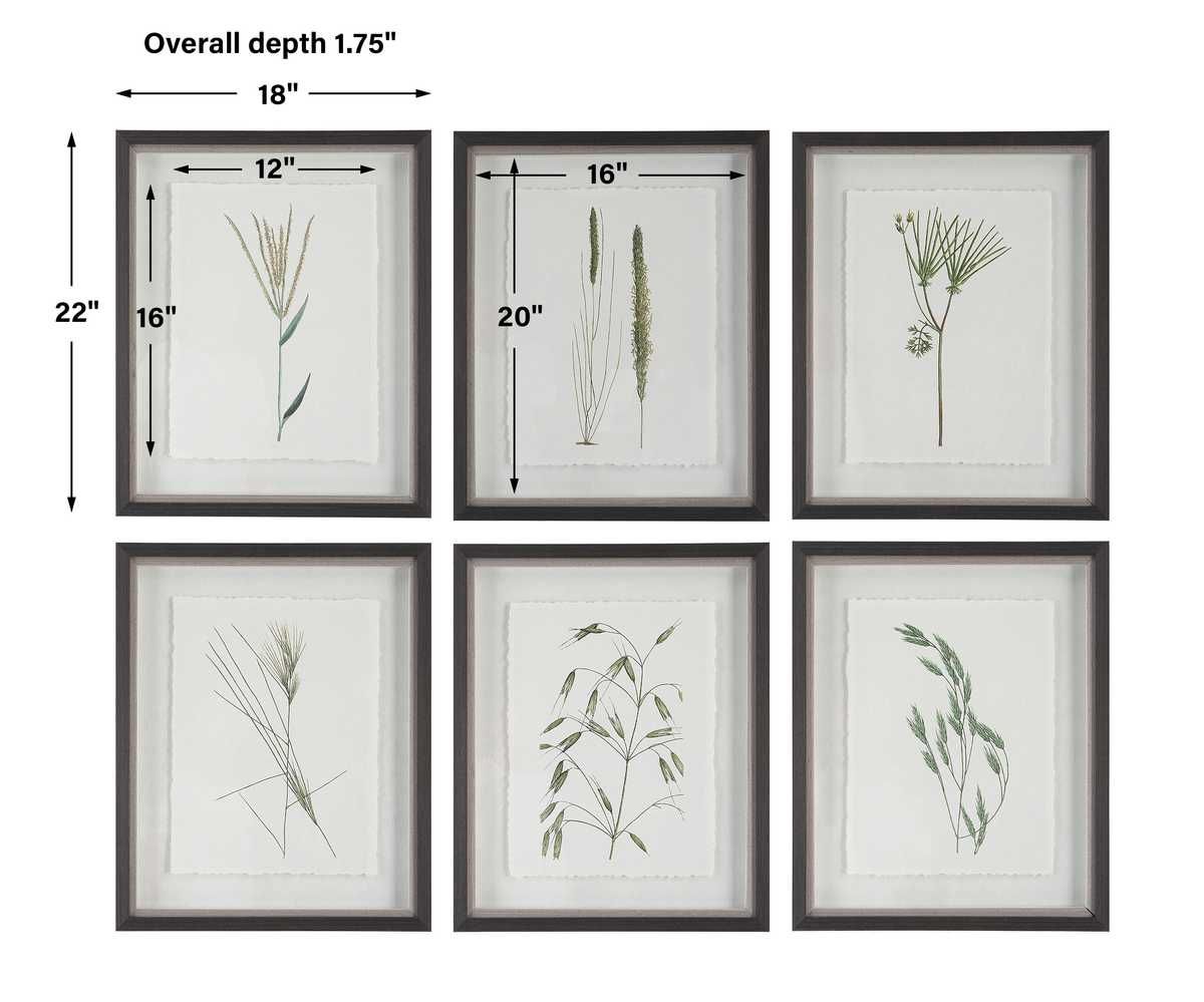Forest Finds Framed Prints, S/6 - bold and creative art for unique interior décor | Image 9 | InSTYLE Home & Rugs