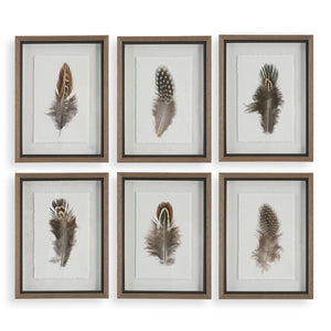 Birds of a Feather Framed Prints, S/6 - bold and creative art for unique interior décor | Image 2 | InSTYLE Home & Rugs