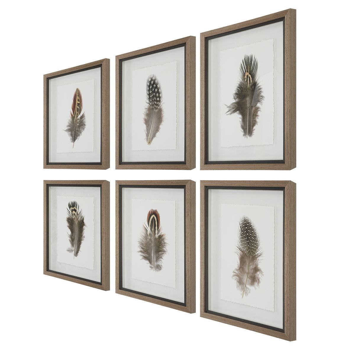 Birds of a Feather Framed Prints, S/6 - bold and creative art for unique interior décor | Image 5 | InSTYLE Home & Rugs