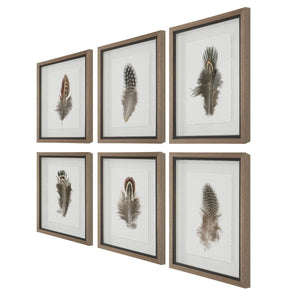 Birds of a Feather Framed Prints, S/6 - bold and creative art for unique interior décor | Image 5 | InSTYLE Home & Rugs