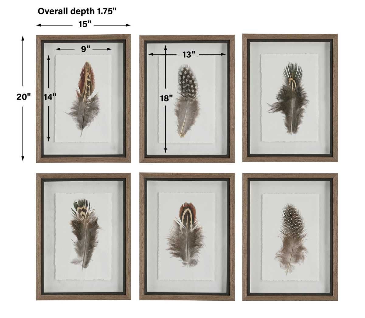 Birds of a Feather Framed Prints, S/6 - bold and creative art for unique interior décor | Image 9 | InSTYLE Home & Rugs