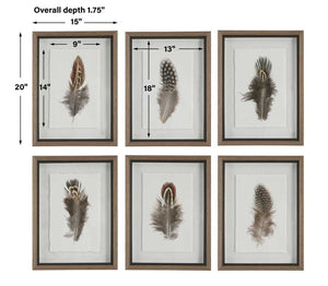Birds of a Feather Framed Prints, S/6 - bold and creative art for unique interior décor | Image 9 | InSTYLE Home & Rugs