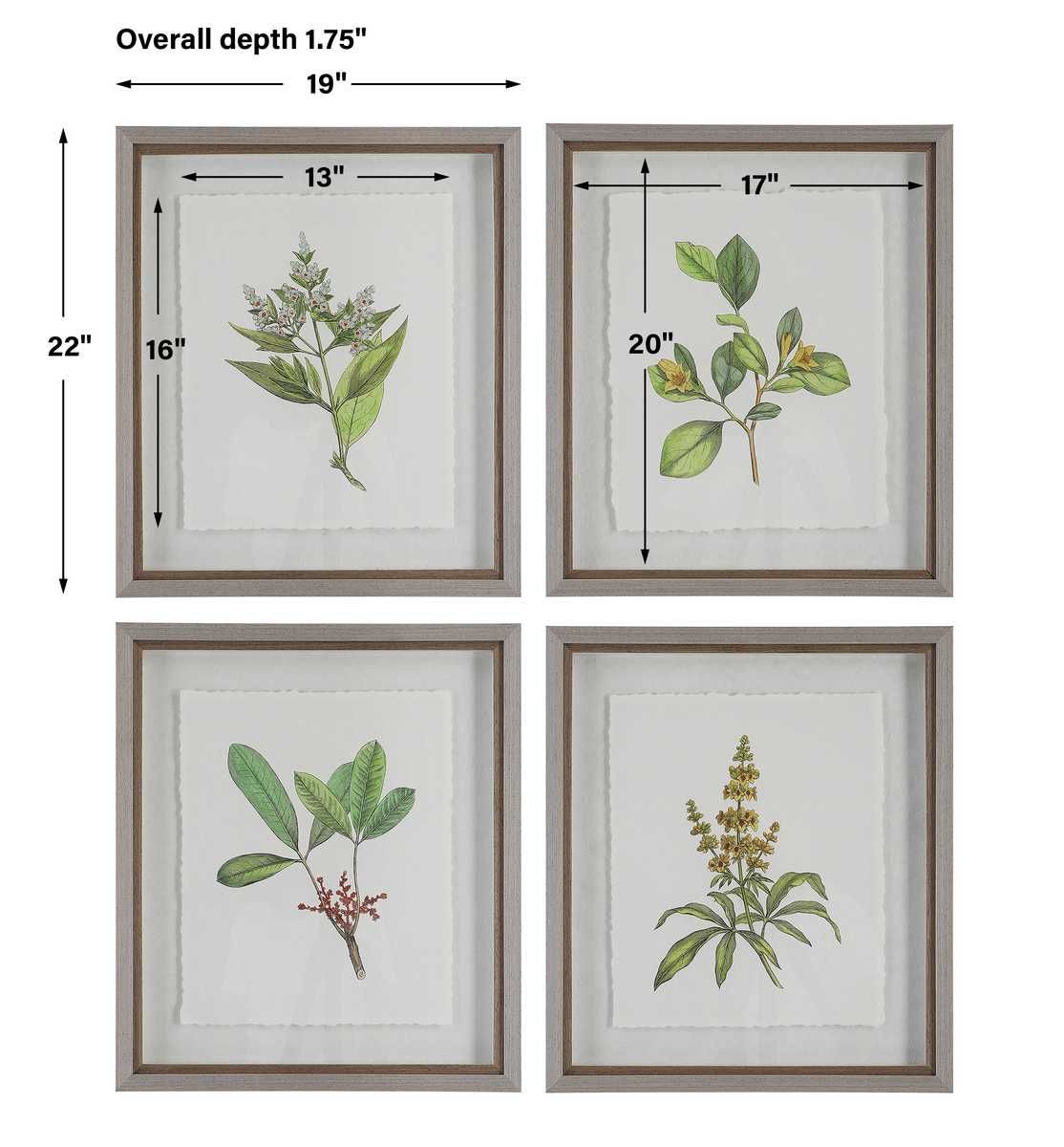 Wildflower Study Framed Prints, S/4 - timeless artwork that brings character to any space | Image 7 | InSTYLE Home & Rugs