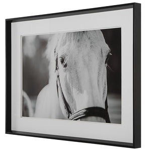 Eyes On The Prize Framed Print - eye-catching art pieces to enhance your home design | Image 3 | InSTYLE Home & Rugs