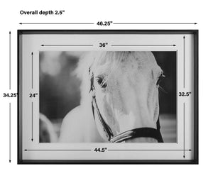 Eyes On The Prize Framed Print - eye-catching art pieces to enhance your home design | Image 8 | InSTYLE Home & Rugs