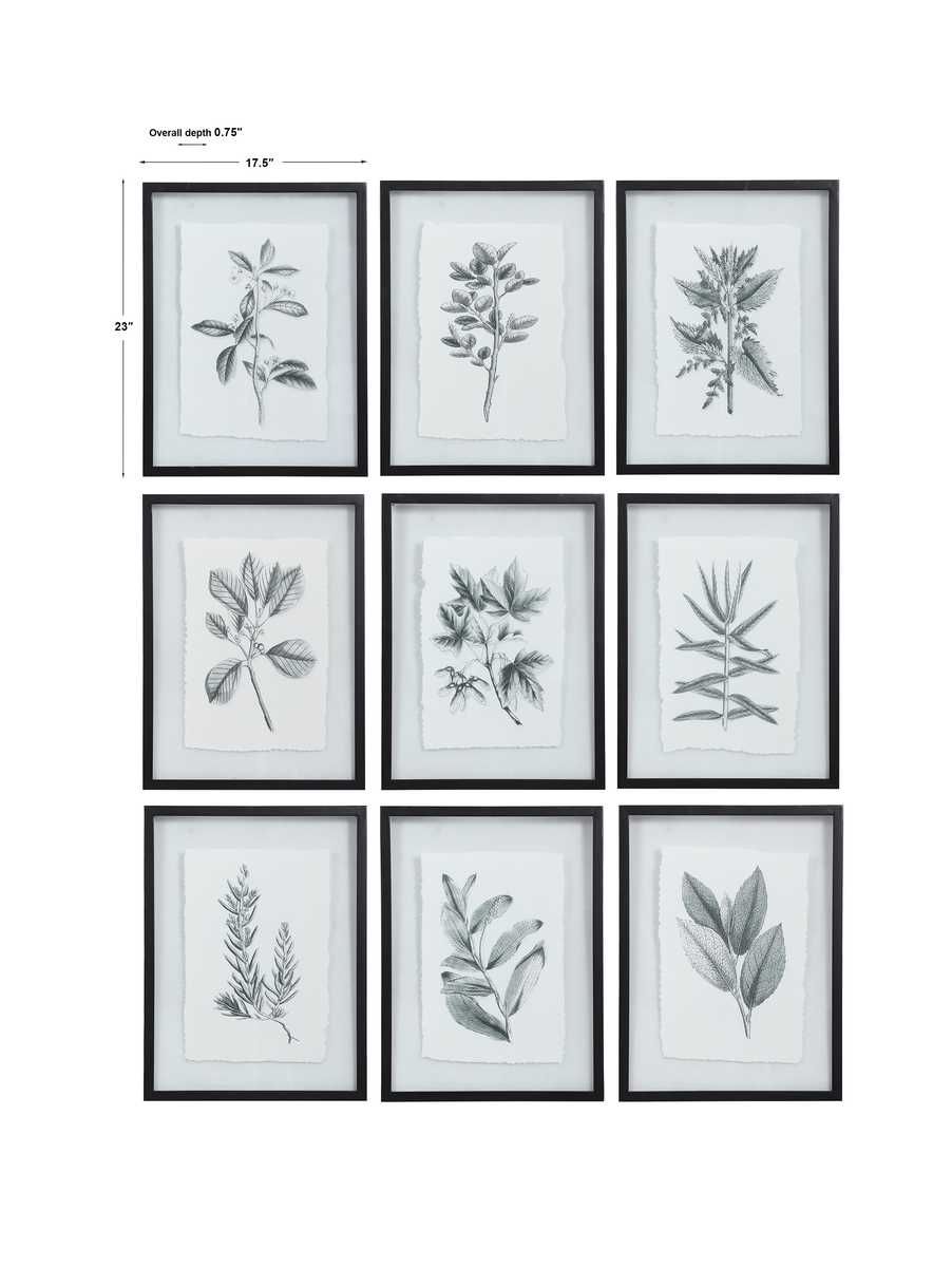 Farmhouse Florals Framed Prints, S/9 3 Cartons - bold and creative art for unique interior décor | Image 8 | InSTYLE Home & Rugs