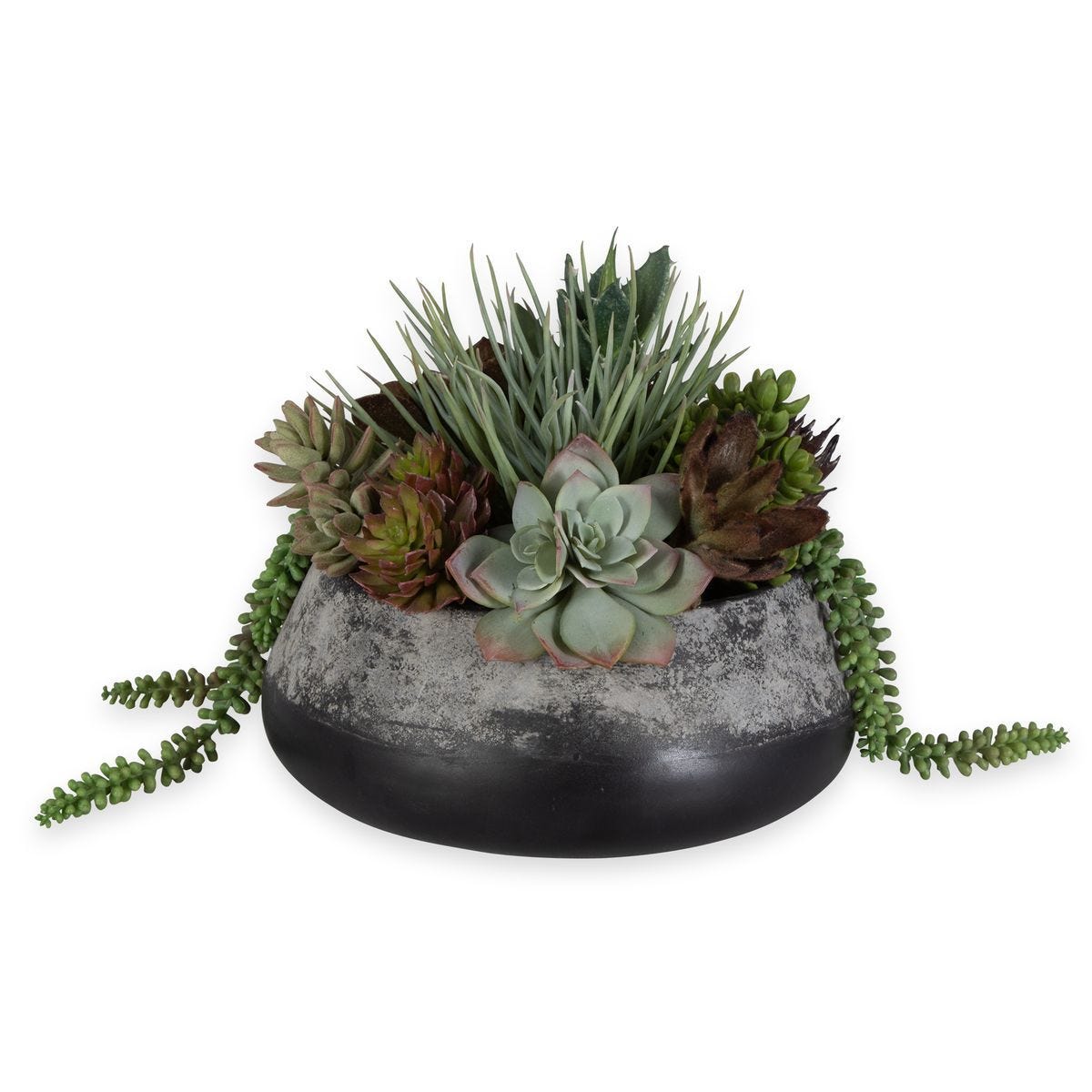 Gobi Succulent Centerpiece - modern accessories for a personalized living space | Image 1 | InSTYLE Home & Rugs