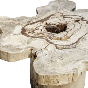Anzalone Coffee Table - stylish tables for living rooms | Image 4 | InSTYLE Home & Rugs