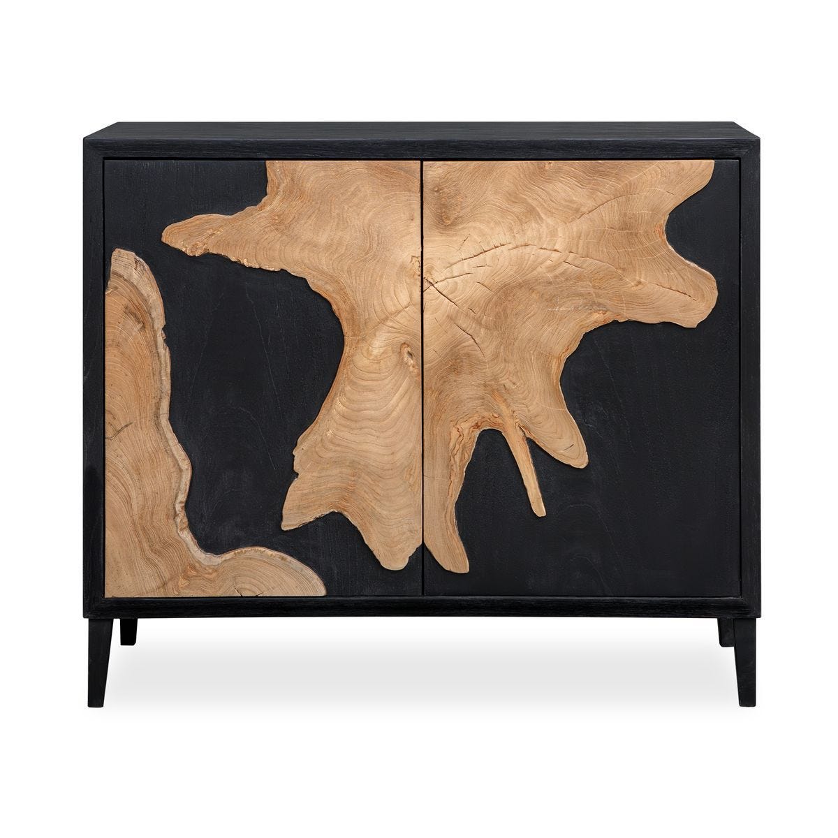 Andrei 2 Door Cabinet - perfect for storage and display | Image 2 | InSTYLE Home & Rugs