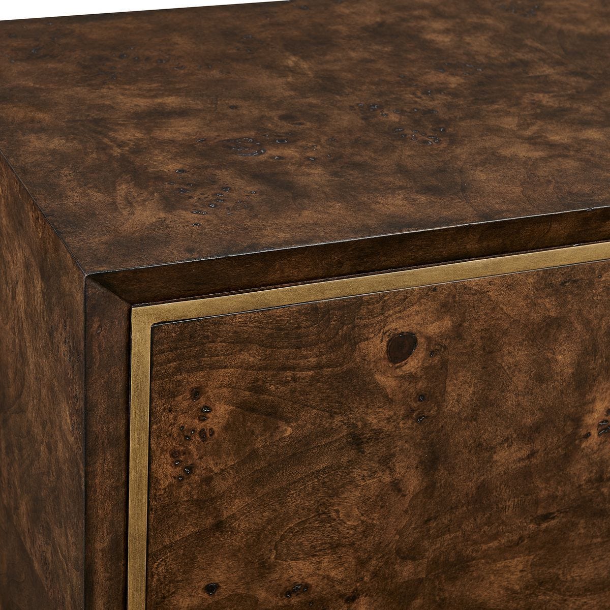 Flores 2 Door Cabinet - elegant cabinet for any room | Image 6 | InSTYLE Home & Rugs