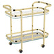 Zedd 2-tier Bar Cart in Polished Gold
