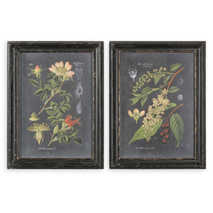 Midnight Botanicals Framed Prints, S/2 - bold and creative art for unique interior décor | Image 2 | InSTYLE Home & Rugs
