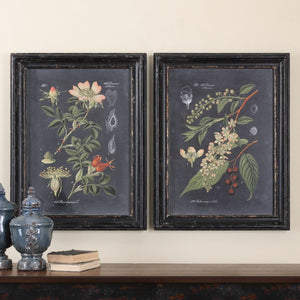 Midnight Botanicals Framed Prints, S/2 - bold and creative art for unique interior décor | Image 1 | InSTYLE Home & Rugs