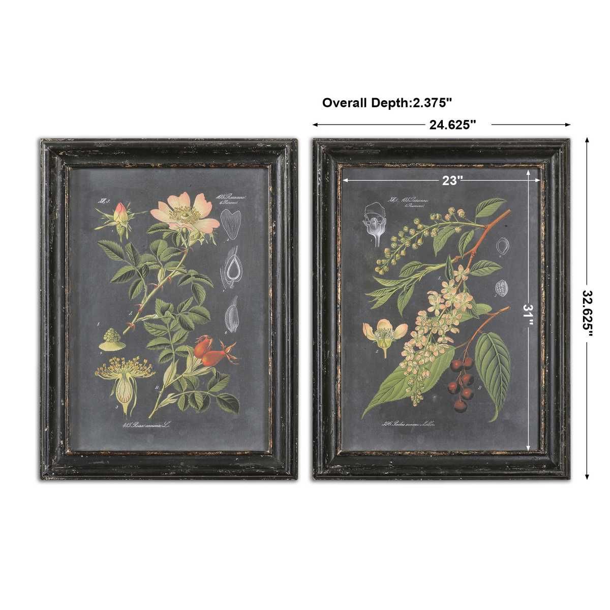 Midnight Botanicals Framed Prints, S/2 - bold and creative art for unique interior décor | Image 4 | InSTYLE Home & Rugs