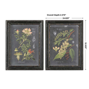 Midnight Botanicals Framed Prints, S/2 - bold and creative art for unique interior décor | Image 4 | InSTYLE Home & Rugs