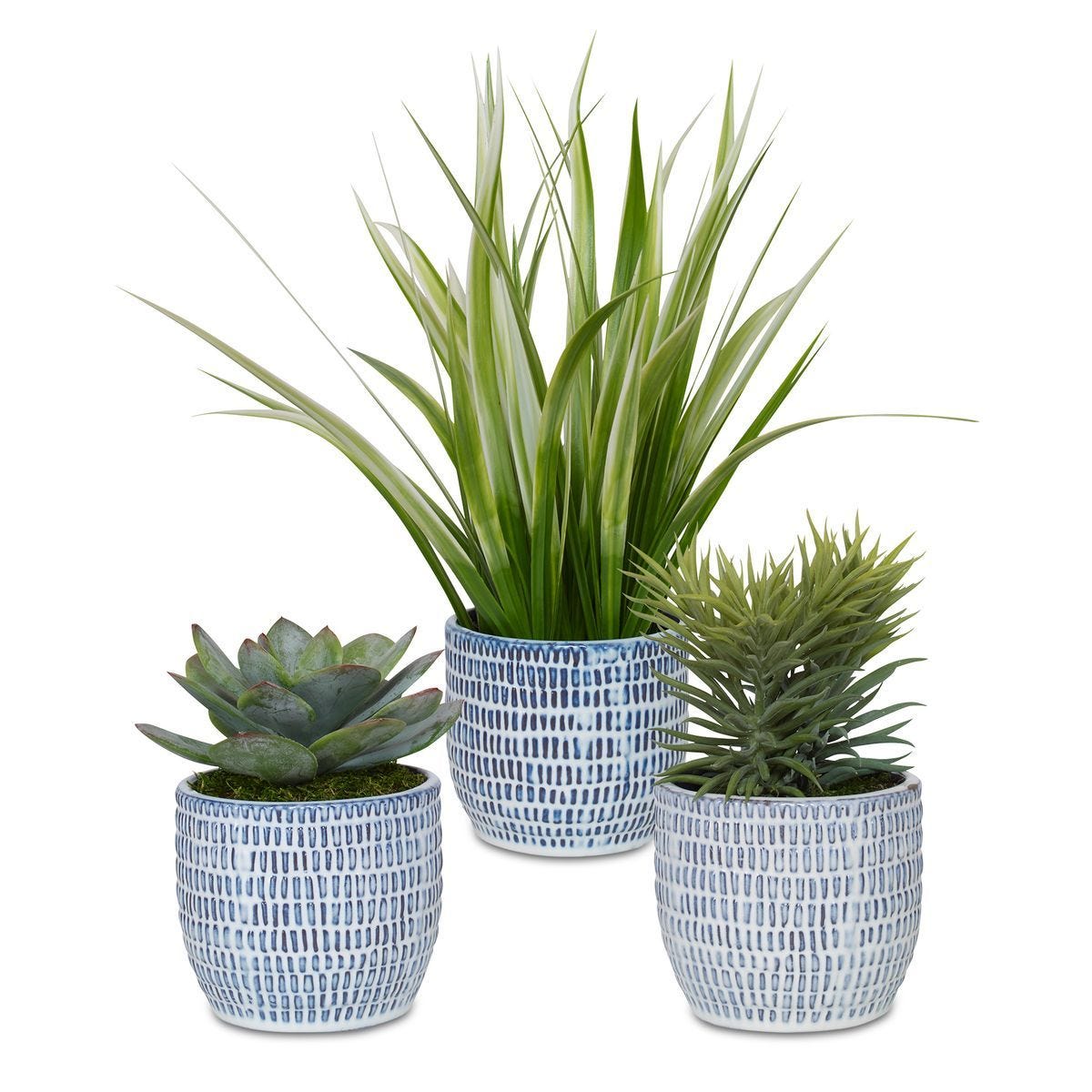 Puebla Greenery, S/3 - decor accents and accessories for every room | Image 1 | InSTYLE Home & Rugs