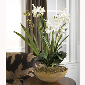 Moth Orchid Planter - decor accents and accessories for every room | Image 5 | InSTYLE Home & Rugs
