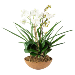 Moth Orchid Planter - decor accents and accessories for every room | Image 3 | InSTYLE Home & Rugs