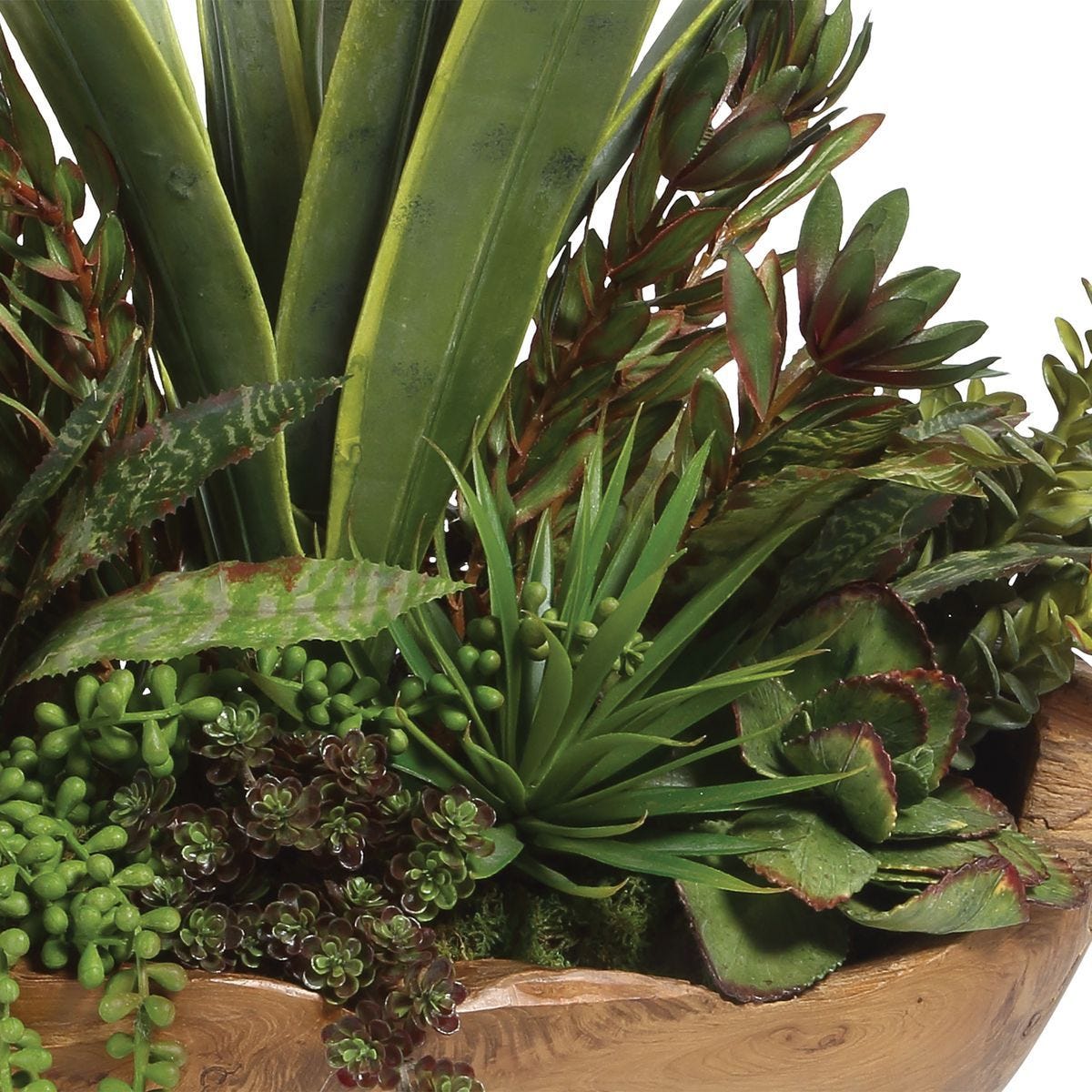 Salar Succulents - decor accents and accessories for every room | Image 4 | InSTYLE Home & Rugs