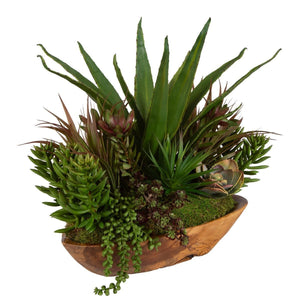 Salar Succulents - decor accents and accessories for every room | Image 3 | InSTYLE Home & Rugs