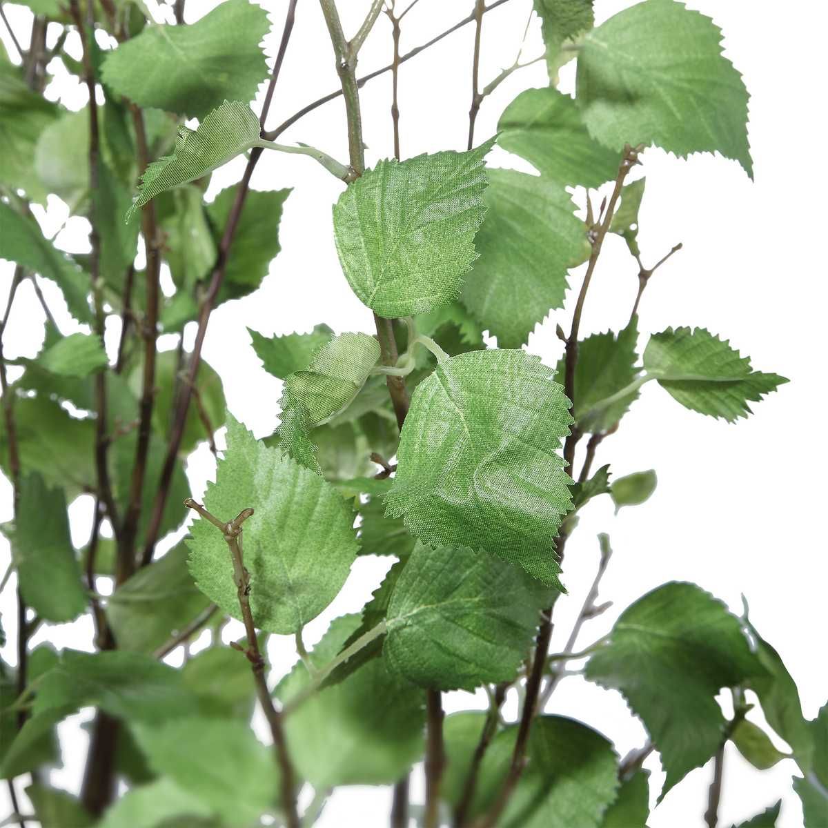 Aldis Potted River Birch - decor accents and accessories for every room | Image 3 | InSTYLE Home & Rugs