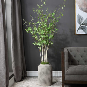 Aldis Potted River Birch - decor accents and accessories for every room | Image 1 | InSTYLE Home & Rugs