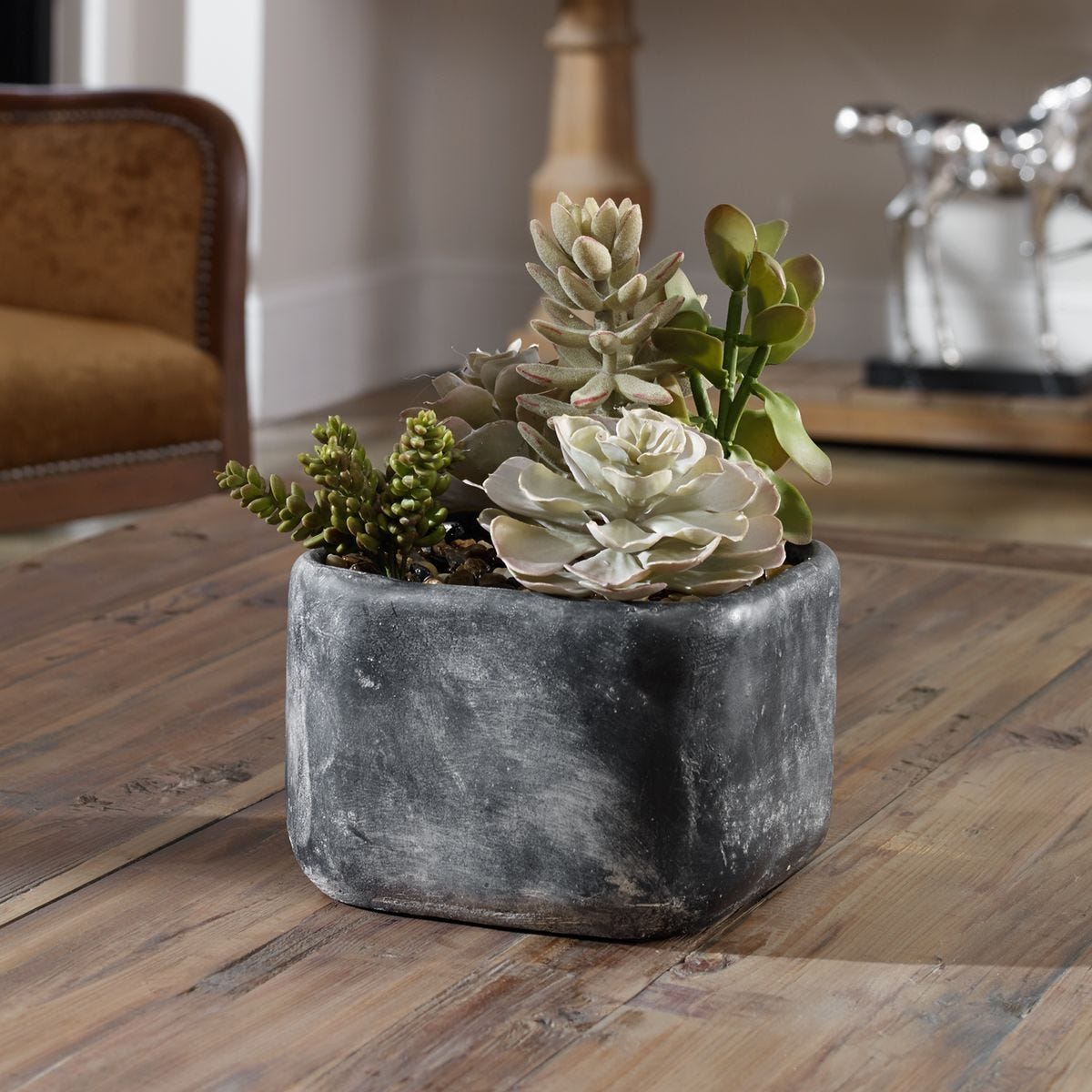 Alverio Succulents - modern accessories for a personalized living space | Image 5 | InSTYLE Home & Rugs