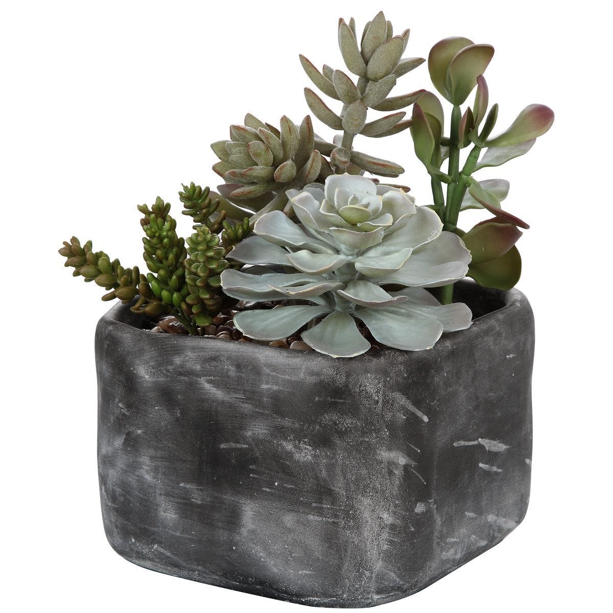 Alverio Succulents - modern accessories for a personalized living space | Image 3 | InSTYLE Home & Rugs