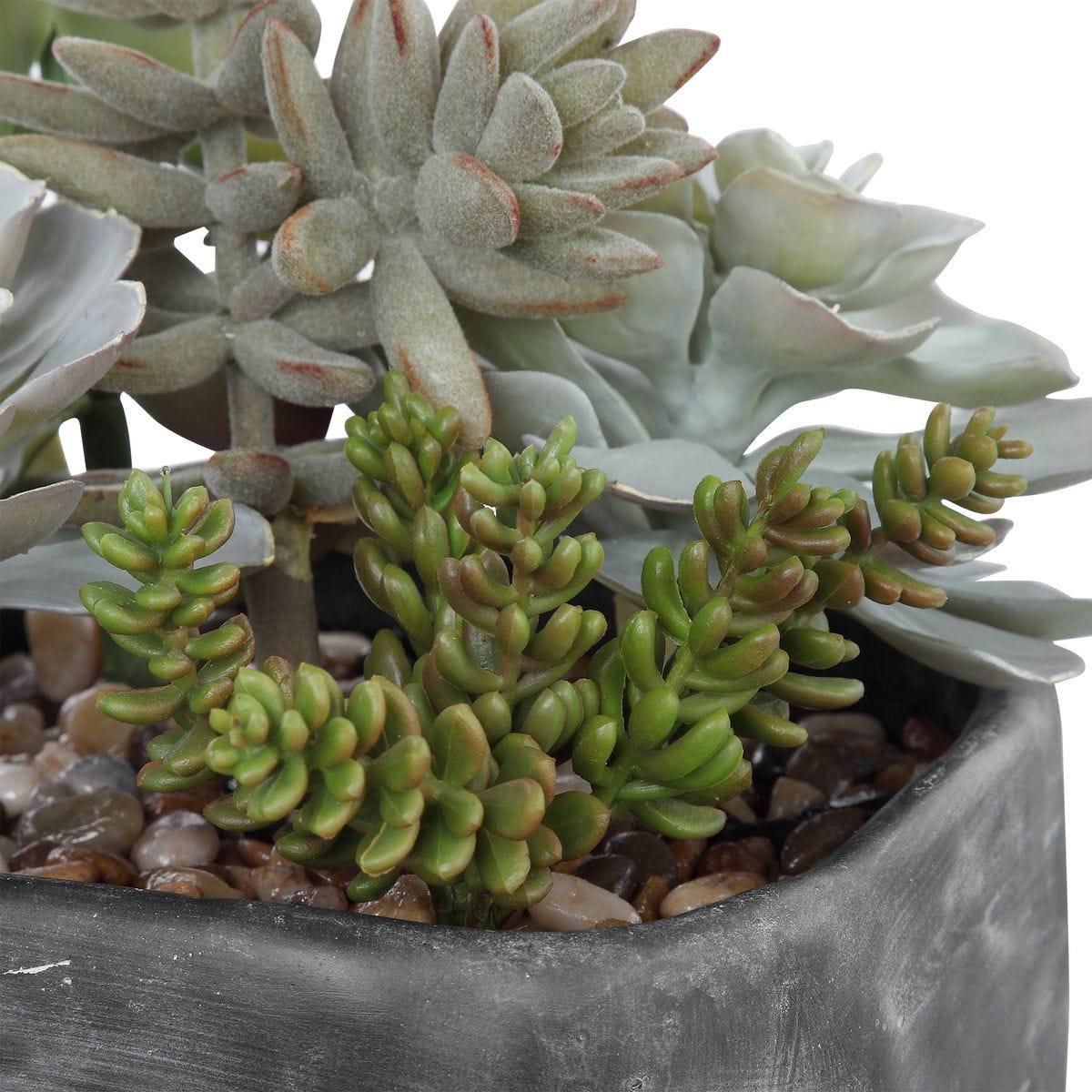 Alverio Succulents - modern accessories for a personalized living space | Image 4 | InSTYLE Home & Rugs