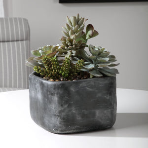 Alverio Succulents - modern accessories for a personalized living space | Image 1 | InSTYLE Home & Rugs
