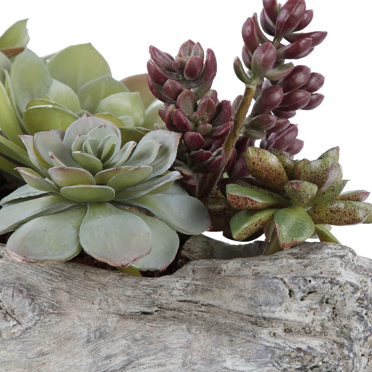 Charita Succulents - stylish home accessories to complete your decor | Image 4 | InSTYLE Home & Rugs