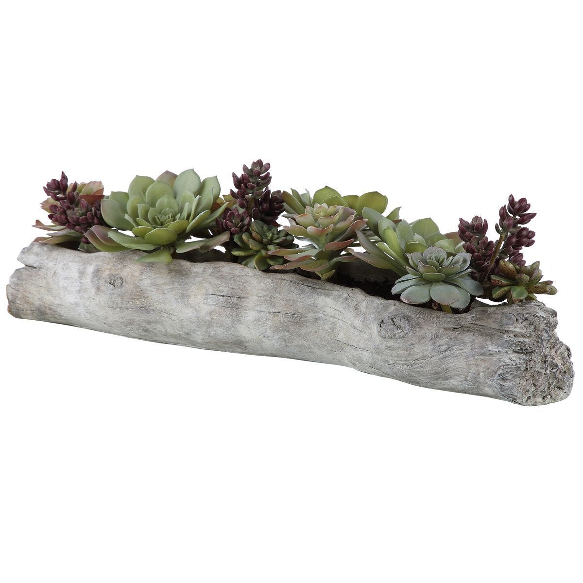 Charita Succulents - stylish home accessories to complete your decor | Image 5 | InSTYLE Home & Rugs