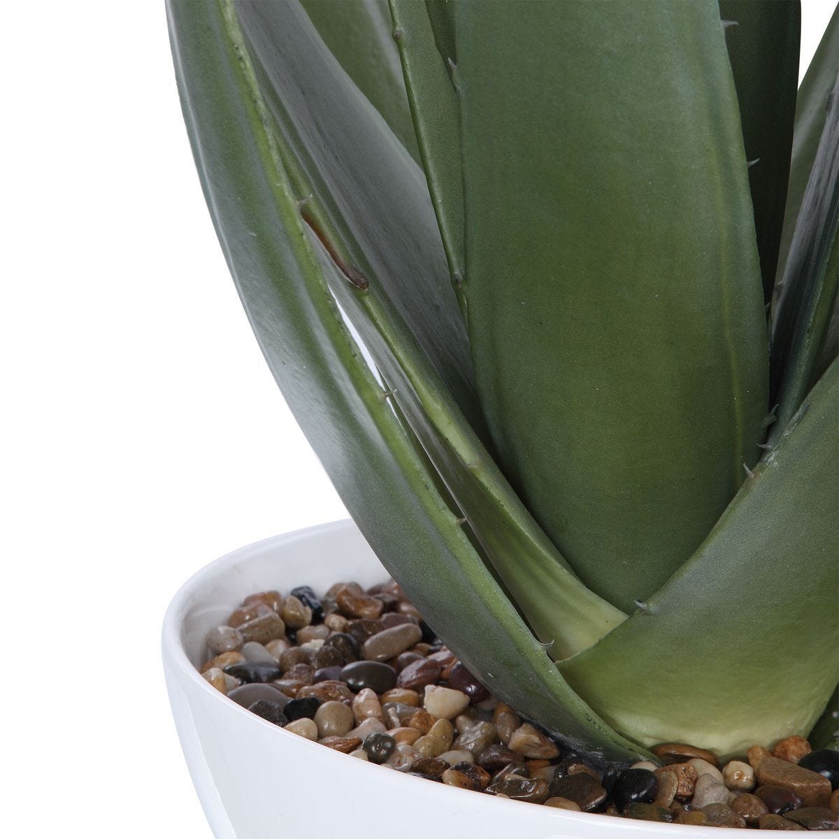 Evarado Aloe Planter - decor accents and accessories for every room | Image 4 | InSTYLE Home & Rugs